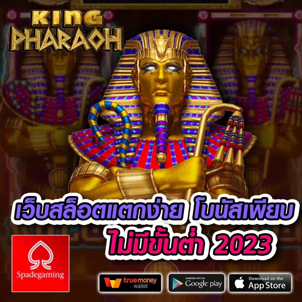 pzone pro ออโต้